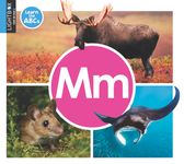 MM - 圖片 1