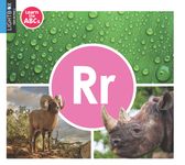 RR - 圖片 1