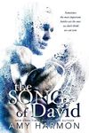 The Song of David - 圖片 1