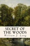 Secret of the Woods - 圖片 1
