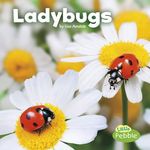 Ladybugs - 圖片 1