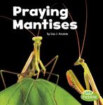 Praying Mantises - 圖片 1