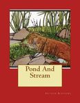 Pond And Stream - 圖片 1