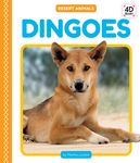 Dingoes - 圖片 1