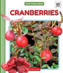 Cranberries - 圖片 1