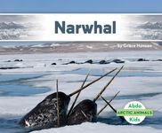 Narwhal - 圖片 1