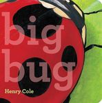 Big Bug - 圖片 1