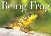 Being Frog - 圖片 1