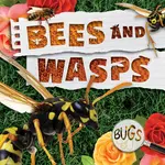 Bees and Wasps - 圖片 1