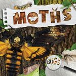 Moths - 圖片 1