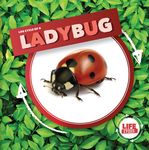 Life Cycle of a Ladybug - 圖片 1