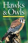 Hawks & Owls of Eastern North America - 圖片 1