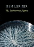 The Lichtenberg Figures - 圖片 1