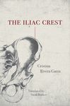 The Iliac Crest - 圖片 1