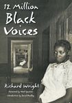12 Million Black Voices - 圖片 1