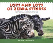 Lots and Lots of Zebra Stripes: Patterns in Nature - 圖片 1