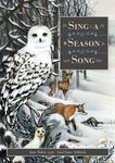 Sing a Season Song - 圖片 1
