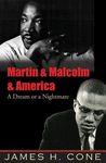 Martin & Malcolm & America: A Dream or a Nightmare - 圖片 1