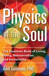 Physics of the Soul: The Quantum Book of Living, Dying, Reincarnation, and Immortality - 圖片 1