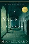 A Sacred Sorrow: Reaching Out to God in the Lost Language of Lament - 圖片 1