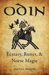 Odin: Ecstasy, Runes, & Norse Magic - 圖片 1