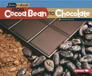 From Cocoa Bean to Chocolate - 圖片 1