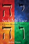 Seek My Face: A Jewish Mystical Theology - 圖片 1