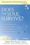 Does the Soul Survive? (2nd Edition): A Jewish Journey to Belief in Afterlife, Past Lives & Living with Purpose - 圖片 1