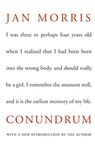 Conundrum - 圖片 1