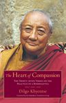 The Heart of Compassion: The Thirty-Seven Verses on the Practice of a Bodhisattva - 圖片 1