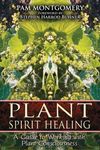 Plant Spirit Healing: A Guide to Working with Plant Consciousness - 圖片 1