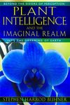 Plant Intelligence and the Imaginal Realm: Beyond the Doors of Perception Into the Dreaming of Earth - 圖片 1