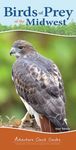 Birds of Prey of the Midwest: Your Way to Easily Identify Raptors - 圖片 1
