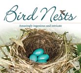 Bird Nests: Amazingly Ingenious and Intricate - 圖片 1