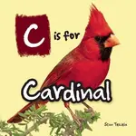 C Is for Cardinal - 圖片 1