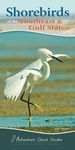 Shorebirds of the Southeast & Gulf States: Your Way to Easily Identify Shorebirds - 圖片 1