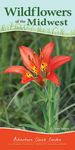 Wildflowers of the Midwest: Your Way to Easily Identify Wildflowers - 圖片 1