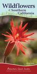 Wildflowers of Southern California: Your Way to Easily Identify Wildflowers - 圖片 1