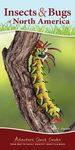 Insects & Bugs of North America: Your Way to Easily Identify Insects & Bugs - 圖片 1
