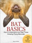 Bat Basics: How to Understand and Help These Amazing Flying Mammals - 圖片 1