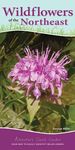 Wildflowers of the Northeast: Your Way to Easily Identify Wildflowers - 圖片 1