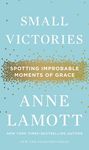 Small Victories: Spotting Improbable Moments of Grace - 圖片 1