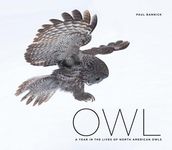 Owl: A Year in the Lives of North American Owls - 圖片 1