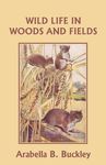 Wild Life in Woods and Fields (Yesterday's Classics) - 圖片 1