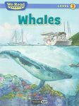 Whales - 圖片 1