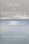 How to Meditate: A Practical Guide to Making Friends with Your Mind - 圖片 1