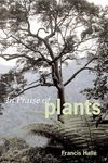 In Praise of Plants - 圖片 1