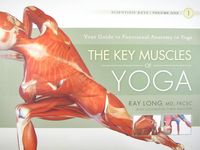 The Key Muscles of Yoga - 圖片 1