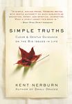 Simple Truths: Clear & Gentle Guidance on the Big Issues in Life - 圖片 1