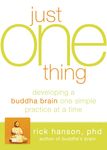 Just One Thing: Developing a Buddha Brain One Simple Practice at a Time - 圖片 1